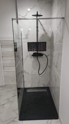 a shower with a glass door in a bathroom at Studio chic meublé et lumineux in Chauray