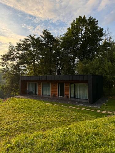 a small house on a grassy hill with a tree at Cabana Forest in Borşa