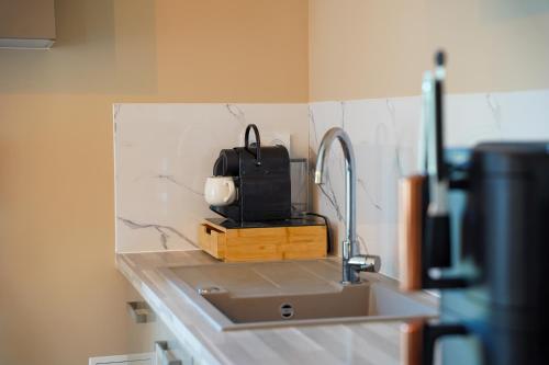 a kitchen counter with a sink and a microwave at 1 Peraudel Suite & Appartements in Castres