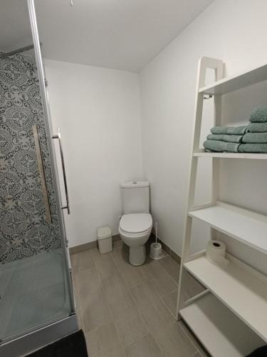 ein Badezimmer mit Toilette und Dusche und Handtüchern in der Unterkunft Чабарня in Pukhovka