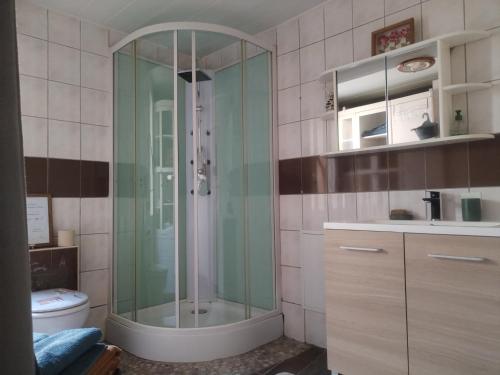 a bathroom with a shower and a toilet at Le Nichoir de Lesmont in Lesmont