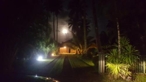 a street at night with palm trees and a street light at Villa ManaOra in Taravao