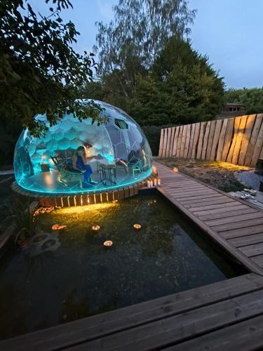 a iguana house with a pond in a yard at Dôme Renard by Out & Lodge in Couvin