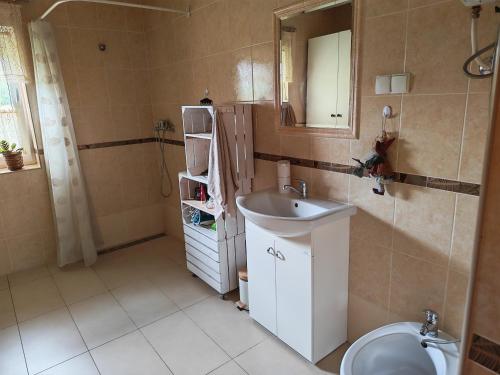 a bathroom with a sink and a toilet at Pszczeli Ogród - dom na wyłączność z jacuzzi ze świeżą wodą in Dęba Koliszowy