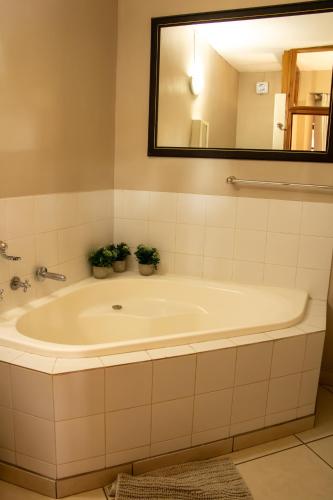 a bathroom with a tub with two potted plants at Adem Gasteplaas & Function Venue in Kroondal