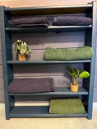 a blue shelf with towels and plants on it at Apartament Chochlika in Rybczyzna