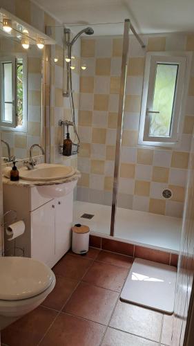 a bathroom with a shower and a toilet and a sink at La Villa Blateiras in Générargues