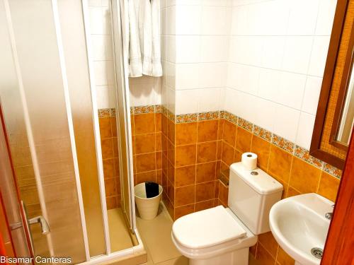 a bathroom with a shower and a toilet and a sink at Brisamar Canteras in Las Palmas de Gran Canaria