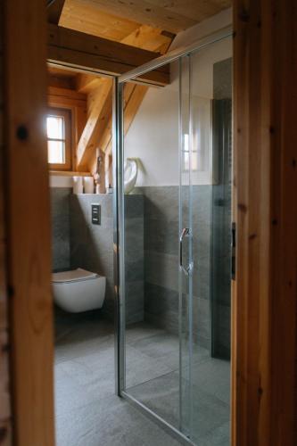 a glass shower in a bathroom with a toilet at Výtoň 263 in Přední Výtoň