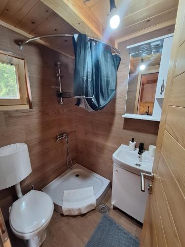 a small bathroom with a toilet and a sink at Splav Zaliv, Perućac in Aluga