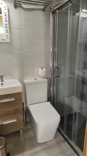 a bathroom with a toilet and a glass shower at Casa Rural Chuan Murillo in Bestué