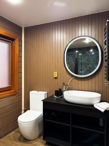 a bathroom with a toilet and a sink and a mirror at Котеджі Сім Вітрів in Volosyanka