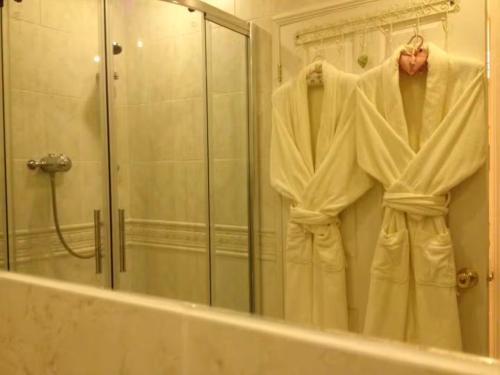 a bathroom with a robe hanging in front of a mirror at Snowdonia Snug in Dolgellau