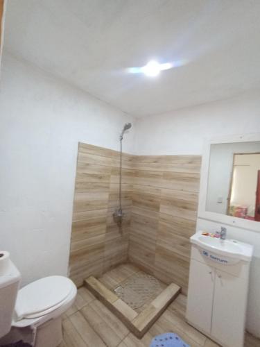 a bathroom with a shower with a toilet and a sink at Hotel Maipú in Maipú