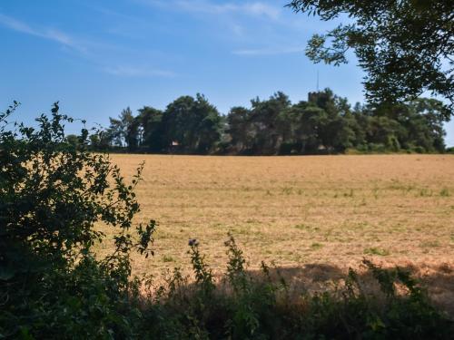 an open field with trees in the background at The Green One On The End in Thurton