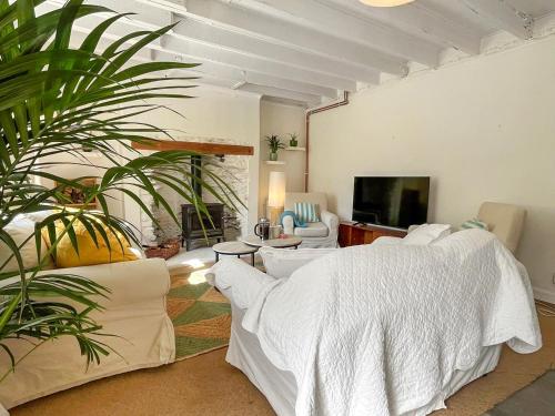 a living room with white furniture and a tv at Gara Mill Cottage in Kingsbridge
