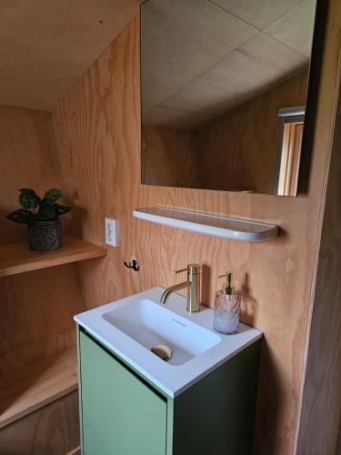 a bathroom with a sink and a mirror at Tiny House De Skries in Westergeest