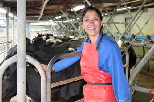 Ruawai的住宿－Tokatoka views Farmstay，女人站在牛前面
