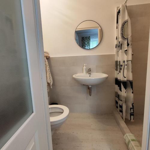 ein Badezimmer mit Toilette, Waschbecken und Spiegel in der Unterkunft Cabana CODRIN in Rausor