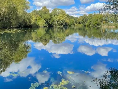 a view of a lake with trees and clouds in the water at Margaret's in Brigham