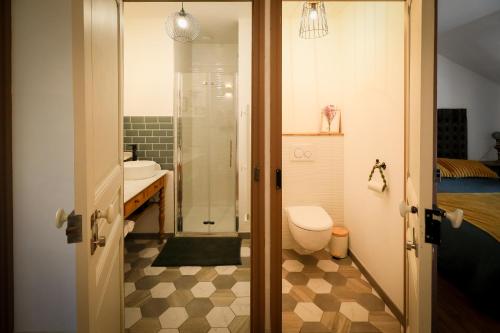 a bathroom with a shower and a toilet and a sink at Gîte les clés de l'émeraude in Bergnicourt