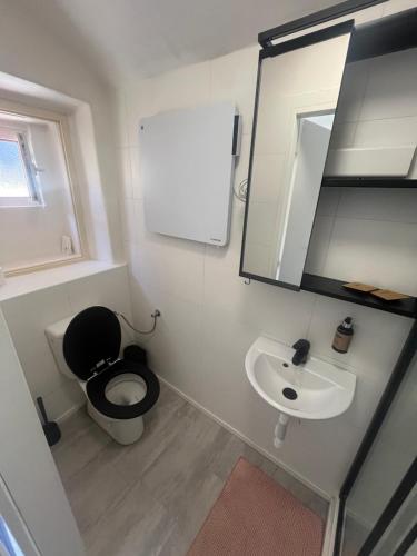 a small bathroom with a toilet and a sink at Karlštejn 34 in Karlštejn