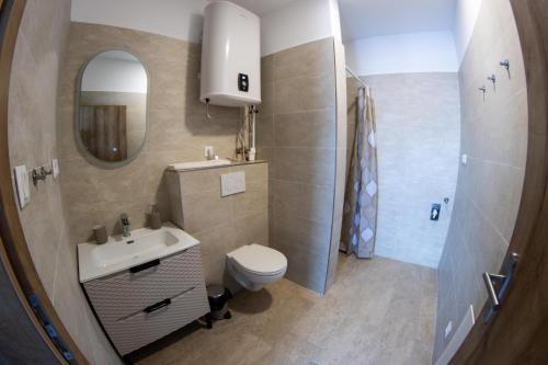 a bathroom with a sink and a toilet and a mirror at Lebeco Apartman in Kolárovo