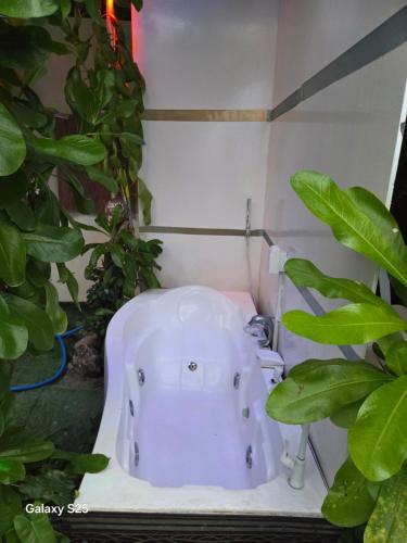 a white bath tub in a bathroom with plants at fehivilla resistance in Dhangethi