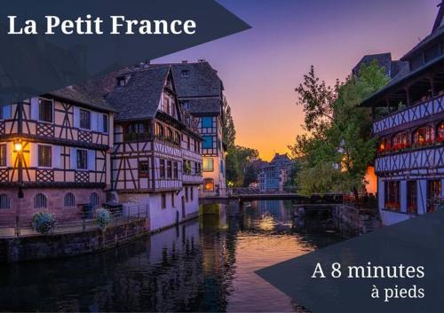 Studio Belfort - Centre Ville Strasbourg - Quartier calme - Espace vert