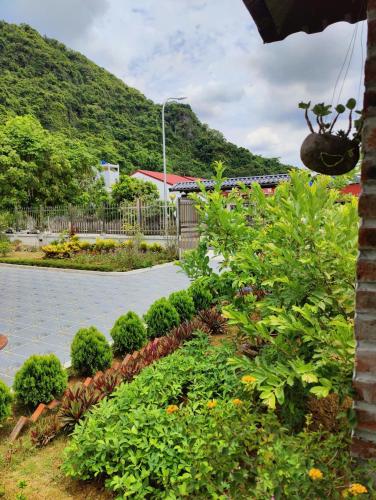 a garden with flowers and plants in front of a building at CoNa Homestay in Ðồng Khê Sâu