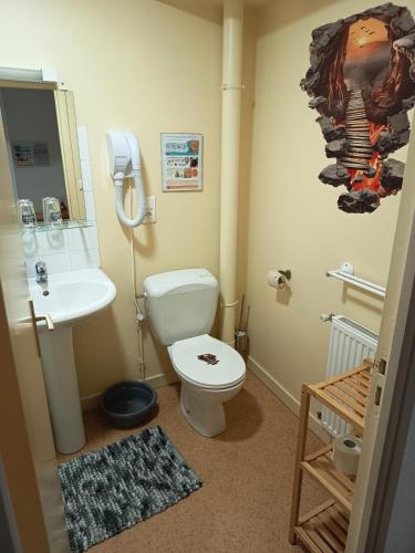 a bathroom with a toilet and a sink at Auberge de la Belette in Le Monestier