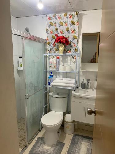 a bathroom with a white toilet and a sink at Casa Mamá Tere in Pantoja