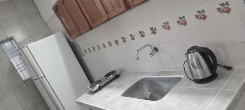 a kitchen with a sink and a refrigerator at Yuntasuma II in San Fernando del Valle de Catamarca