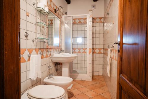 a bathroom with a toilet and a sink and a mirror at Tenuta la Selva Casa I Lavatoi in Casal Velino