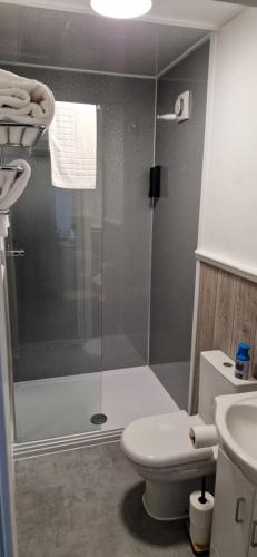 a bathroom with a shower with a toilet and a sink at Moon Tap Hideaway in Bridlington