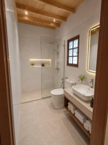 a bathroom with a shower and a toilet and a sink at Luxor Mountain View in Luxor
