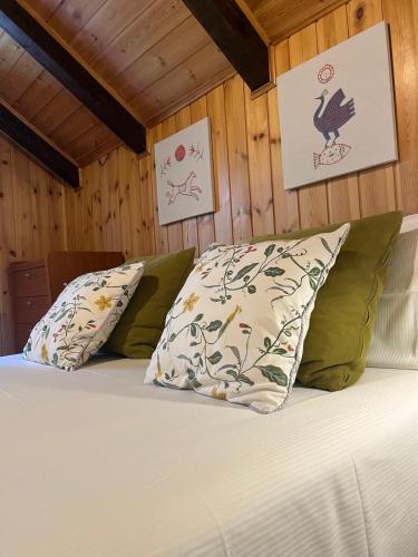 a bed with two pillows in a room with wooden walls at la Mansarda dello Zio in Ceppo Morelli