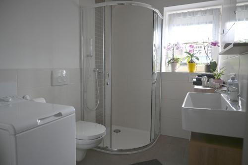 a bathroom with a shower and a toilet and a sink at Ferienwohnung Talblick Wilthen in Wilthen