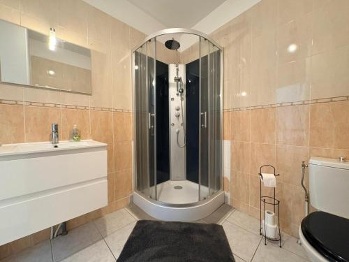 a bathroom with a shower and a sink and a toilet at Appartement La Jungle in Villebois