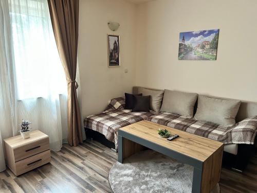 a living room with a couch and a table at Central apartment in Razlog