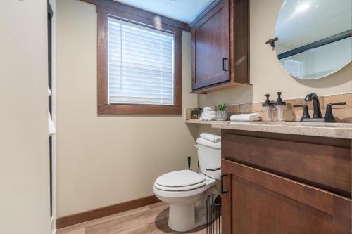 a bathroom with a toilet and a sink and a mirror at Deers Den River- Luxury Tiny Home on River in Bryson City