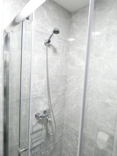 a shower with a shower head in a bathroom at Green Diamond in Vrnjci
