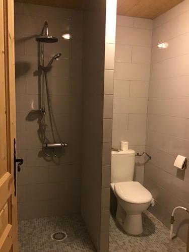 a bathroom with a toilet and a shower at Au Refuge de Blanche in Verchères
