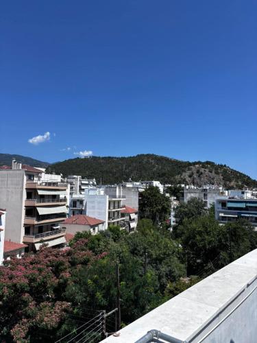 country view apartment