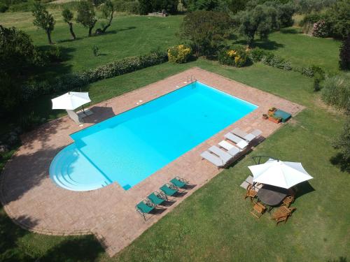 an overhead view of a swimming pool with chairs and umbrellas at Tenuta di Collestretto in Stazzano Nuovo