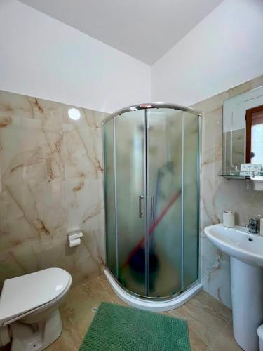 a bathroom with a shower and a toilet and a sink at Villa Kalaj in Baks-Rrjoll
