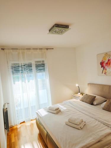Apartment Ali