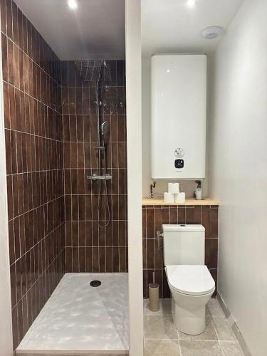 a bathroom with a toilet and a shower at Le Petit Palais, en hyper centre de Valence in Valence