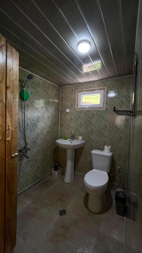 a small bathroom with a toilet and a sink at LEMI Mountain Cottages - Ushguli in Ushguli