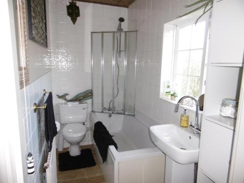 a bathroom with a shower and a toilet and a sink at 2 Little Meadow Cottages in Dartmouth